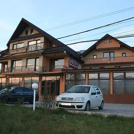 Pensiunea Alexia Пьятра-Нямц Экстерьер фото