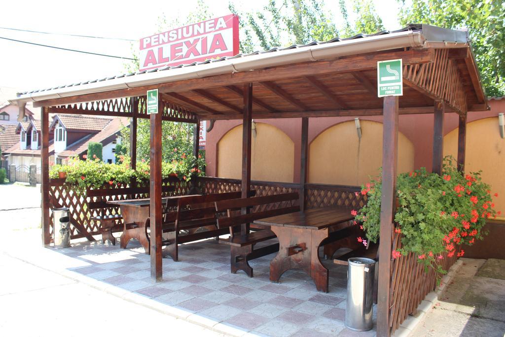 Pensiunea Alexia Пьятра-Нямц Экстерьер фото